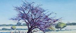Thorn Tree Study at Homob - Etosha Waterhole | 2014-15 | Oil on Canvas | 36 x 51 cm